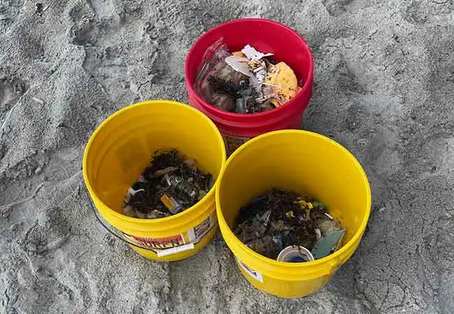 Loggerhead Marine Life Beach Clean-Up