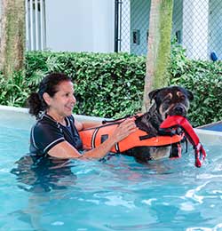 Pet Rehabilitation in Boca Raton, FL 