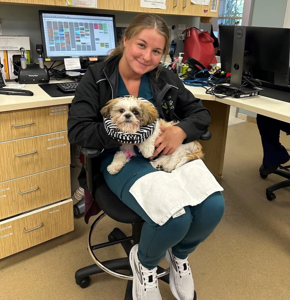 Pet Vaccinations in Boca Raton, FL Pet Vaccinations in Boca Raton, FL